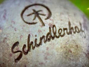Schindlerhof Nuernberg - Tagungen und Seminare anfragen und buchen - MICE Service Group
