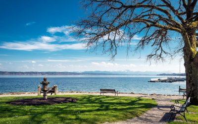 Warum das Starnberger Fünf-Seen-Land perfekt für Meetings und Tagungen ist
